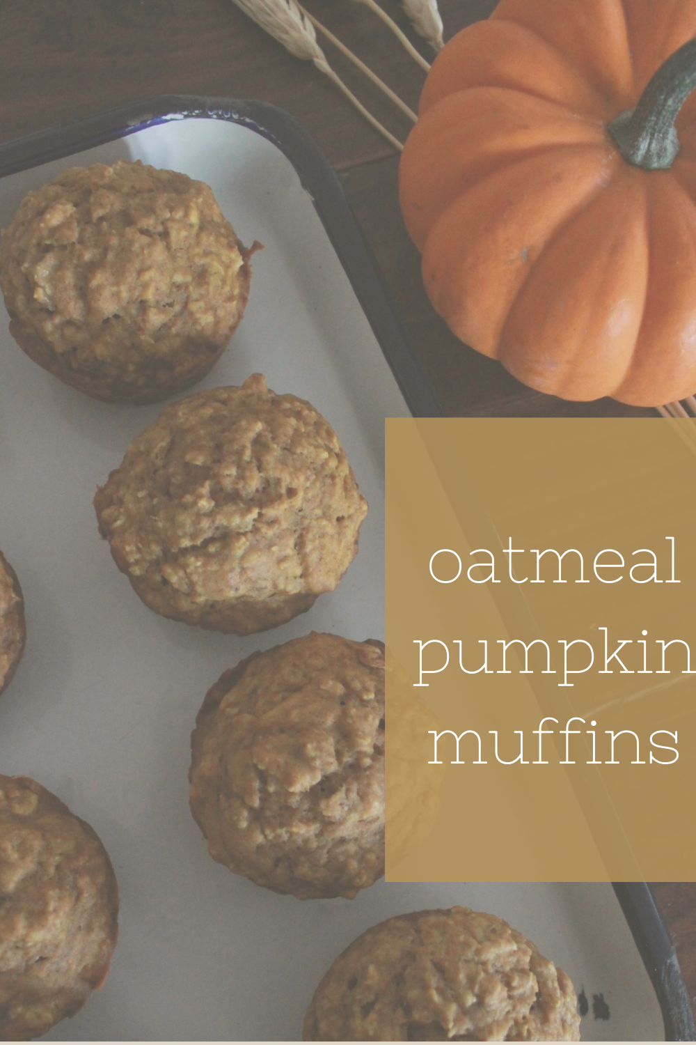 oatmeal pumpkin muffins