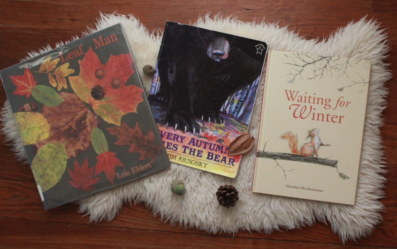 Children’s books for autumn