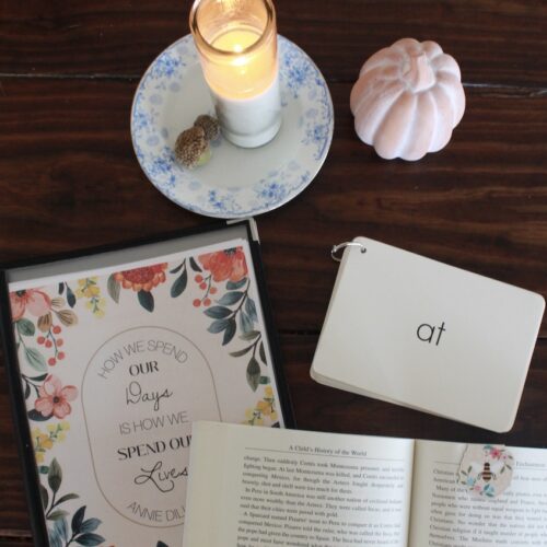homeschool organization