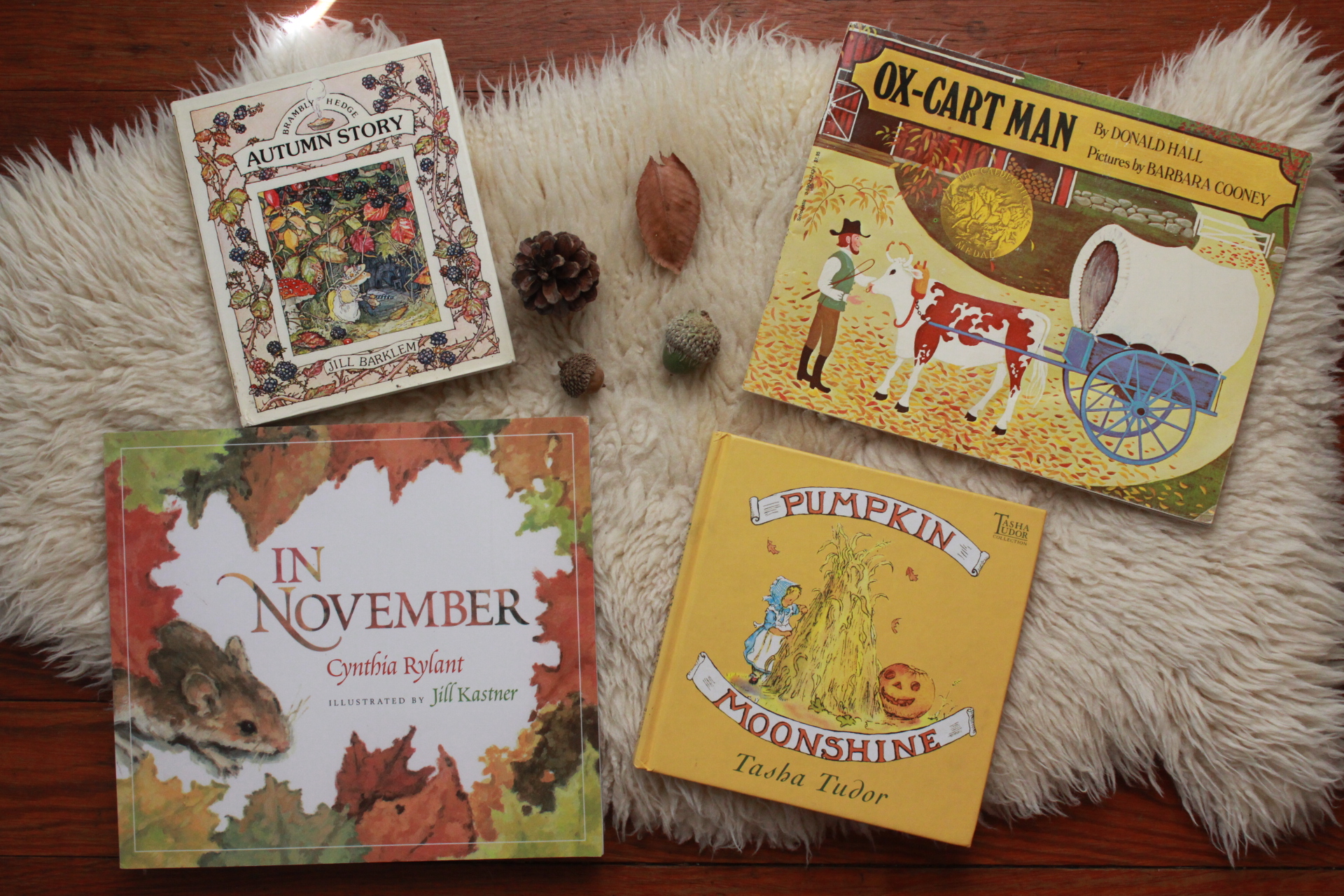 picture books for fall