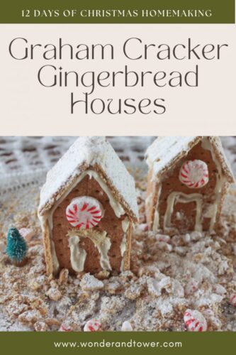 Gingerbread House with Graham Cracker