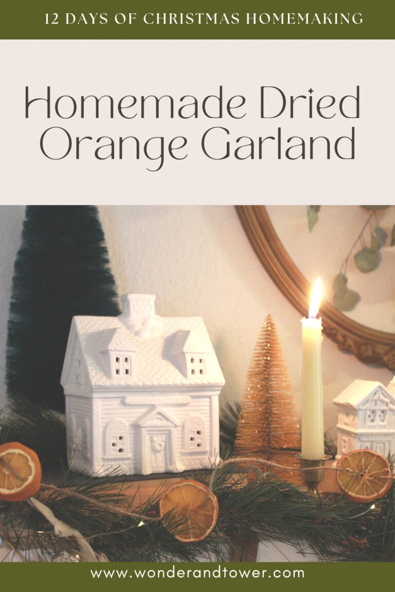 dried orange garland