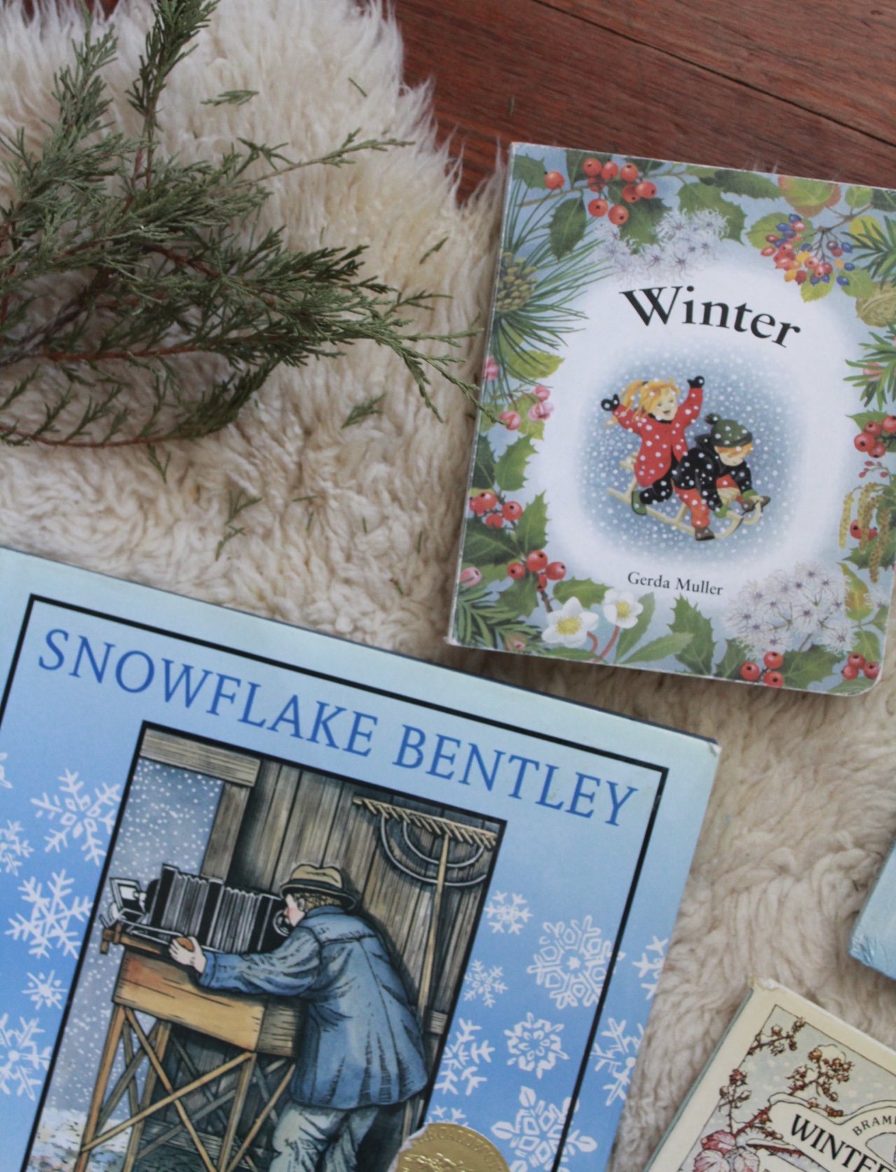 winter picture books