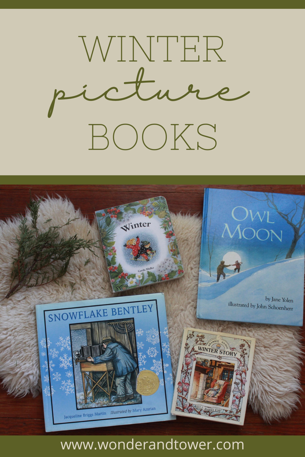 winter picture books