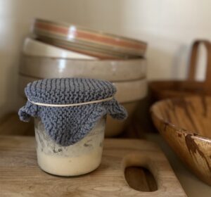 sourdough starter