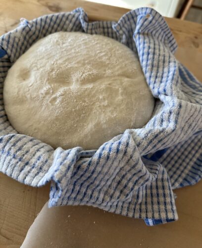 beginner's sourdough bread