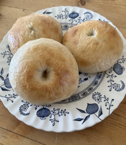 sourdough discard bagels