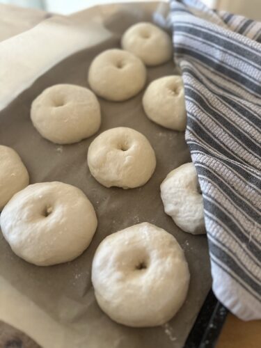 sourdough discard bagels recipe no yeast