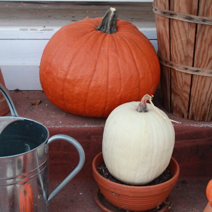 autumn family activities