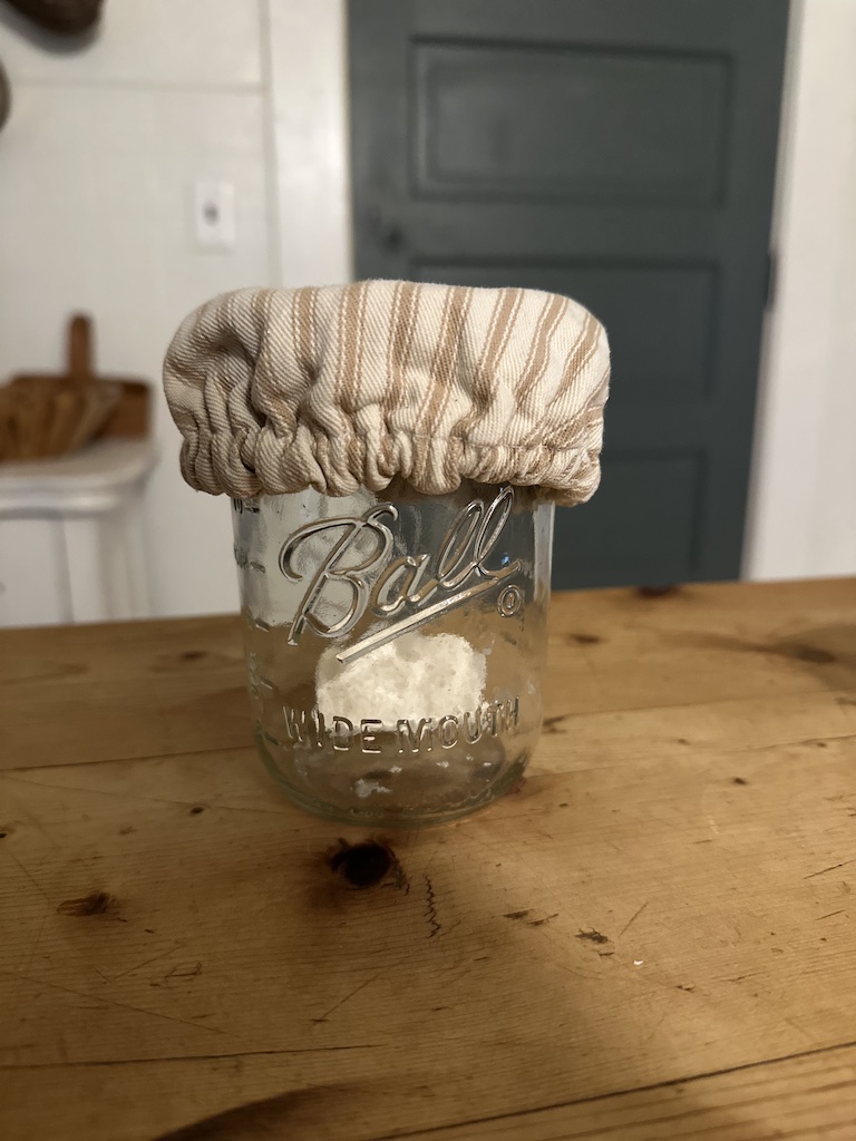 can i freeze sourdough starter in a jar
