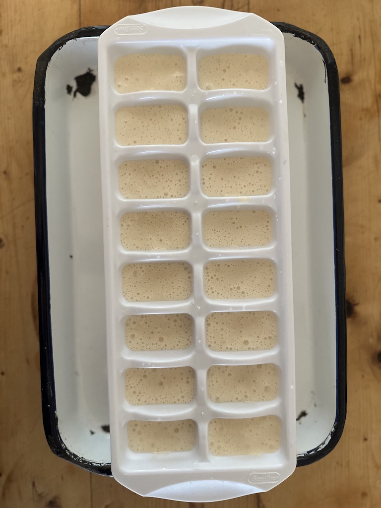 best way to freeze sourdough starter