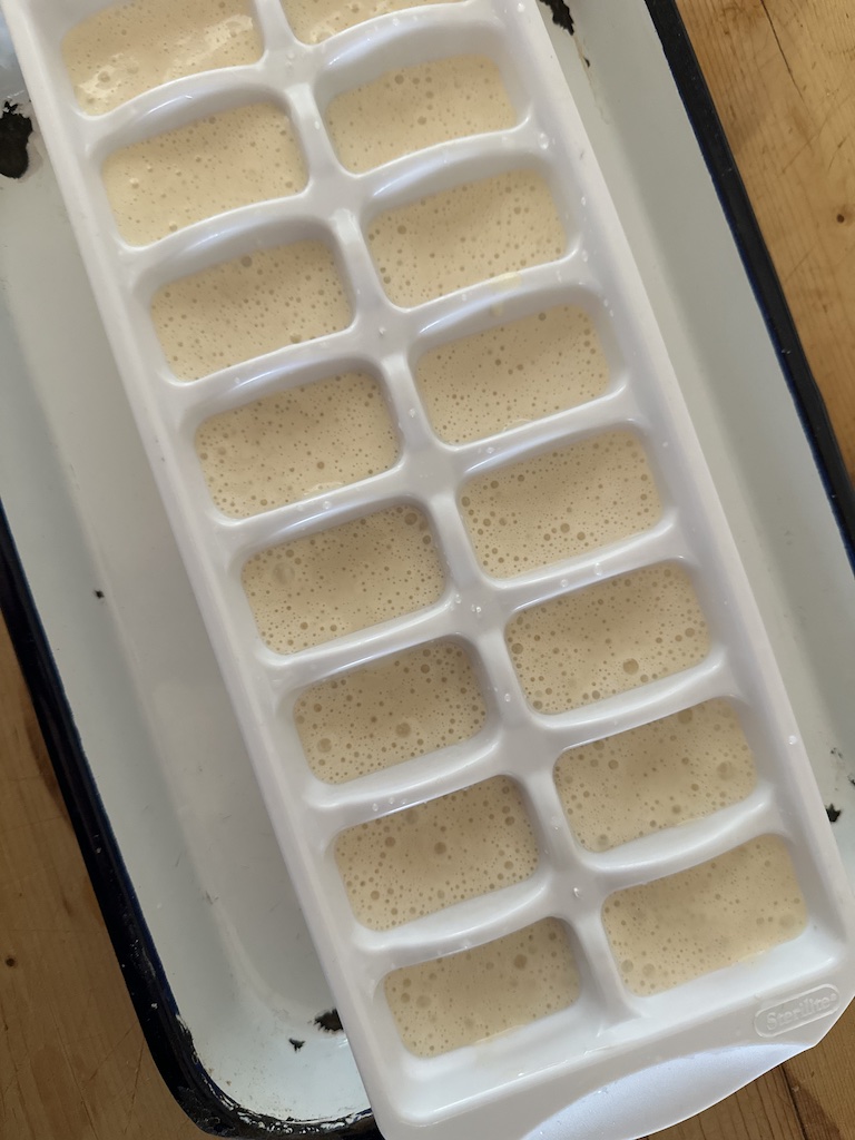 frozen sourdough starter