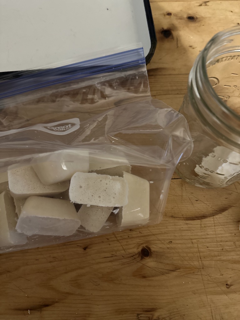 how to freeze active sourdough starter