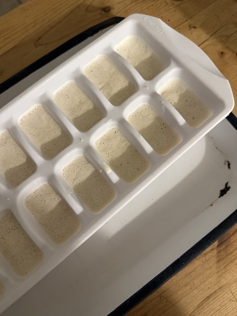 how to freeze dry sourdough starter