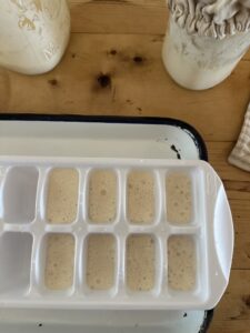 how to freeze sourdough starter