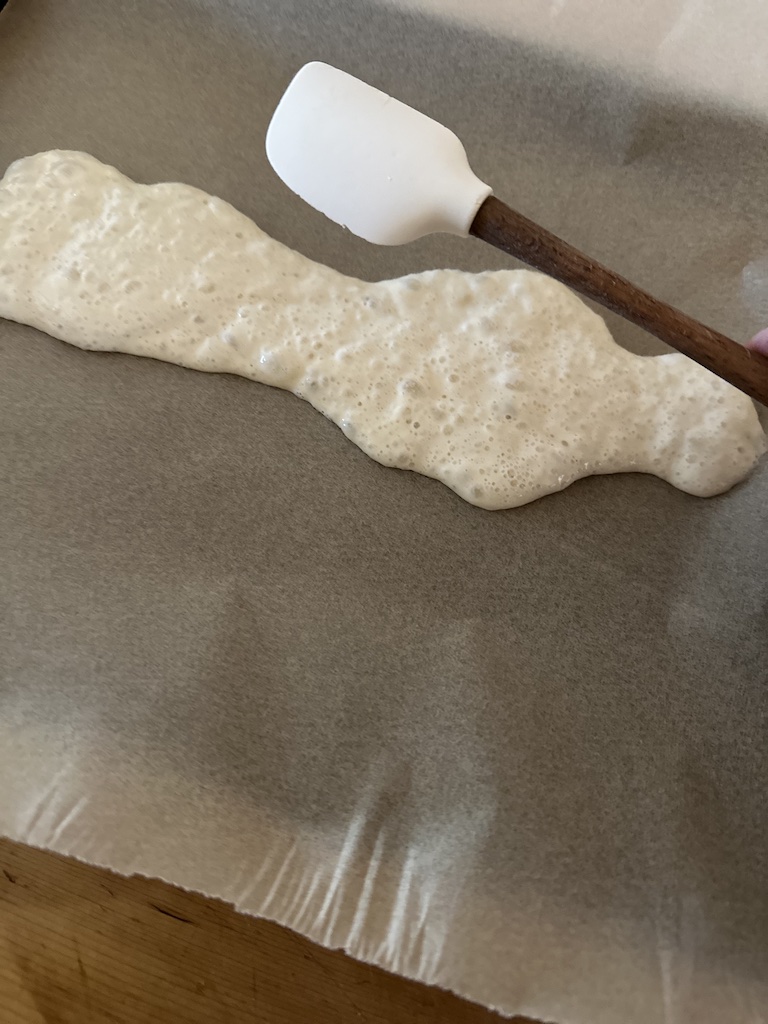 dehydrate sourdough discard