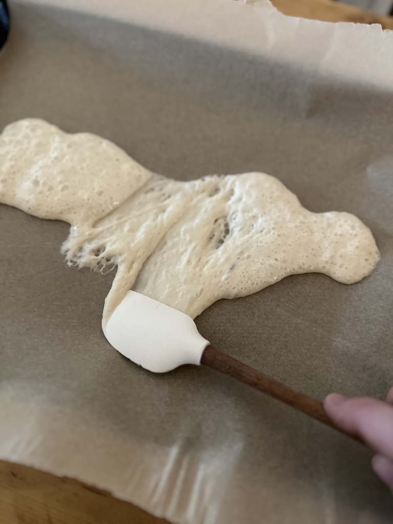 dehydrated sourdough starter