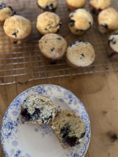 sourdough blueberry muffins