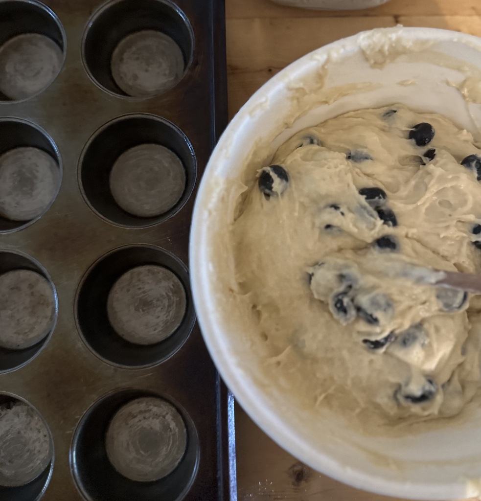 sourdough blueberry muffins no egg