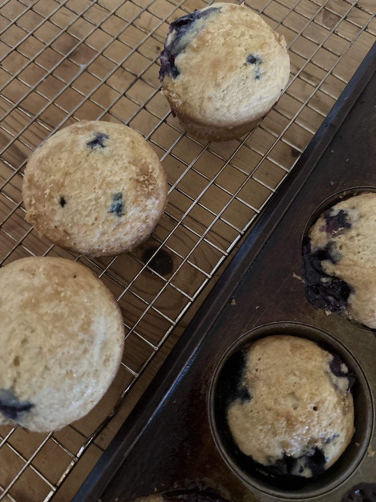 sourdough blueberry muffins overnight