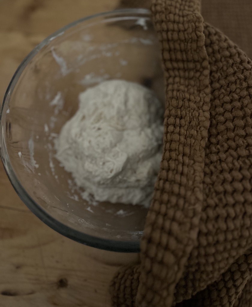 sourdough discard carrot cake recipe