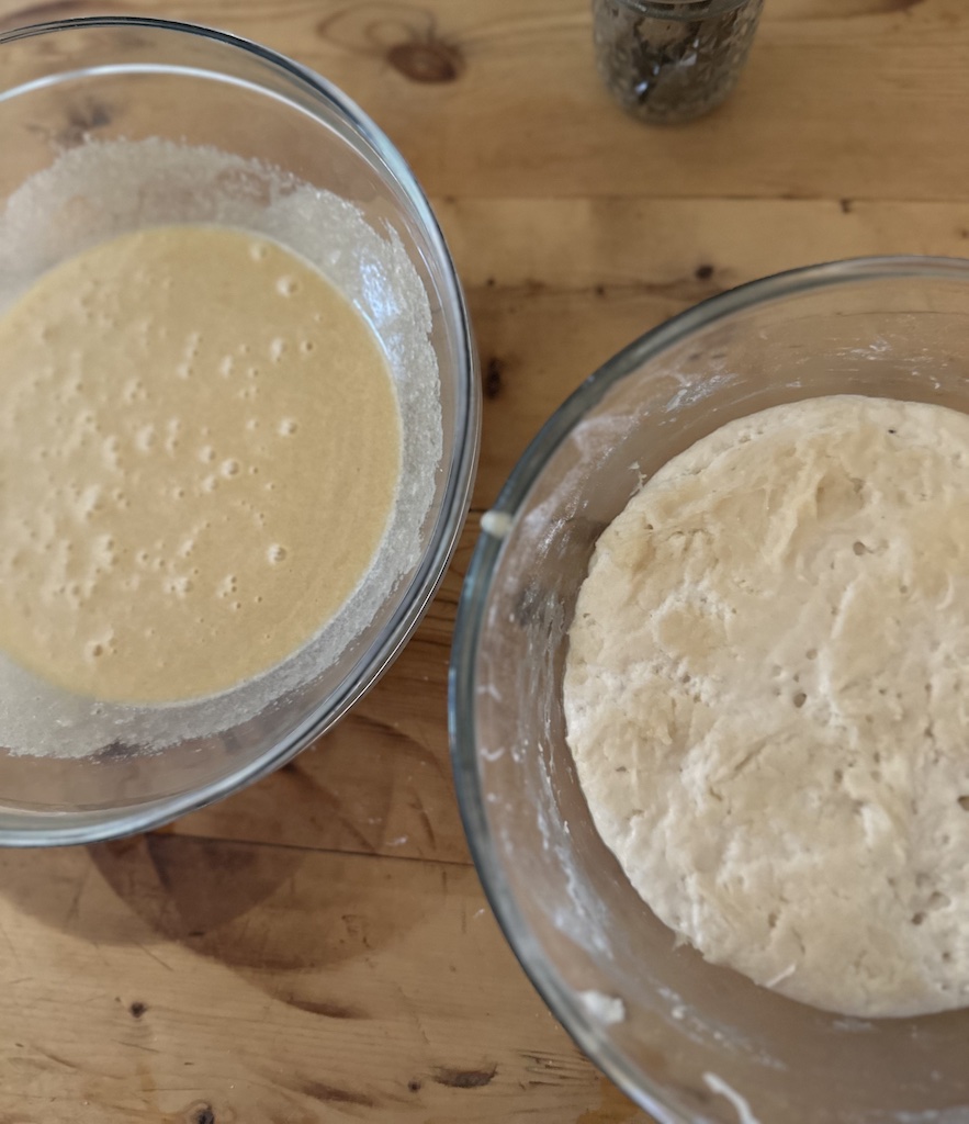 sourdough discard carrot cakes
