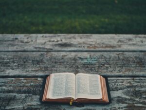 bible verses for boys