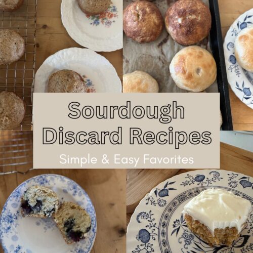 sourdough discard recipes
