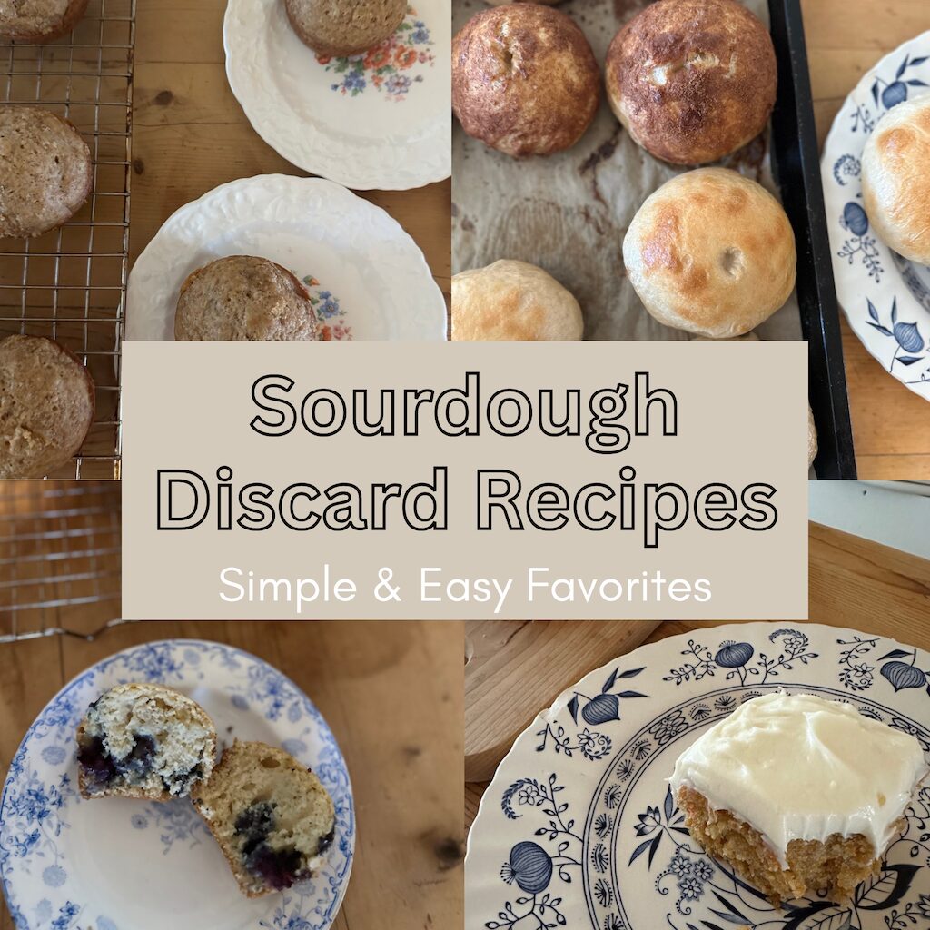 sourdough discard recipes