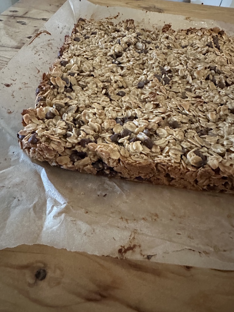 sourdough discard granola bars without peanut butter