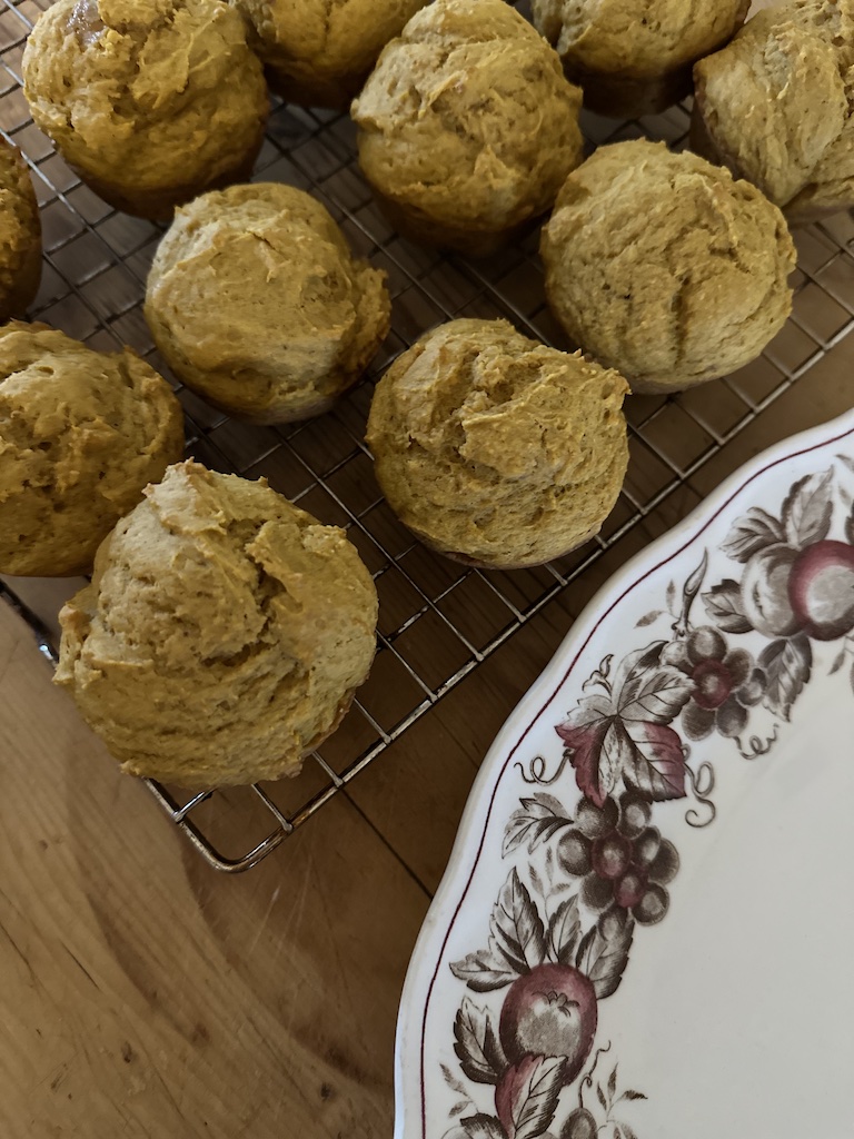 sourdough discard pumpkin muffin recipe