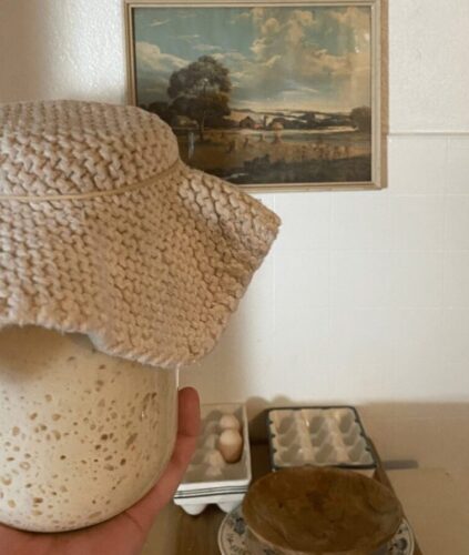 sourdough starter recipe