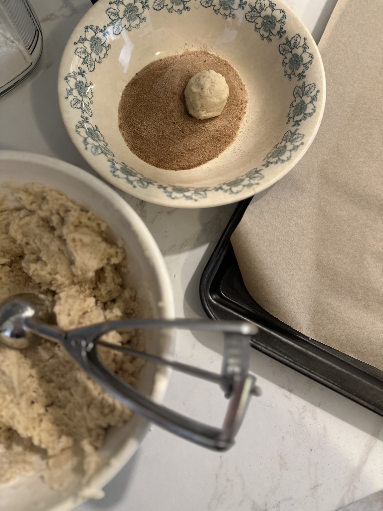 best sourdough snickerdoodle cookies