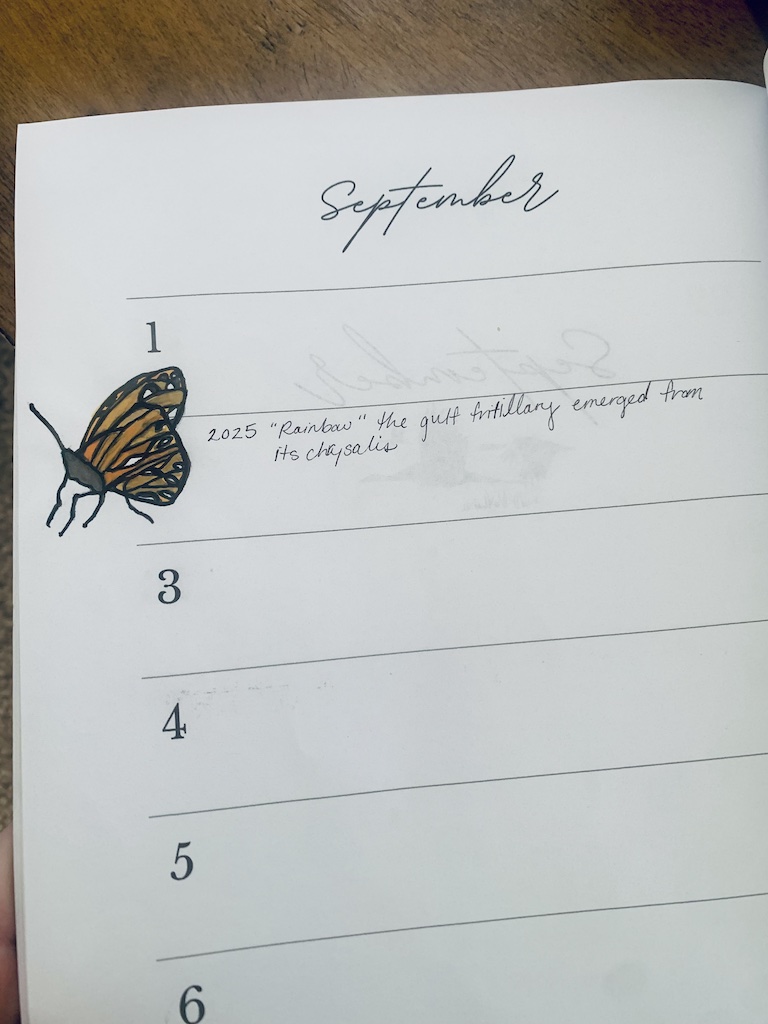 nature journal ideas for students