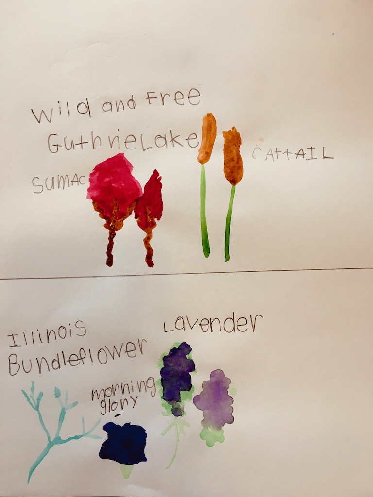 nature journaling examples for beginners