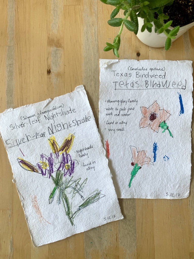 nature journaling examples kids