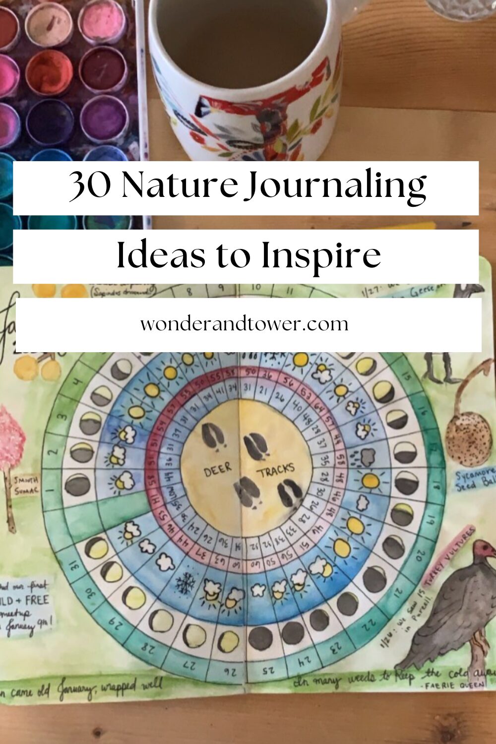 nature journaling ideas
