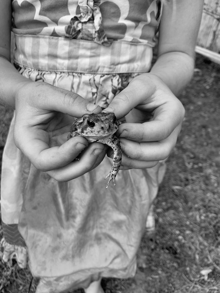 nature journaling ideas for kids