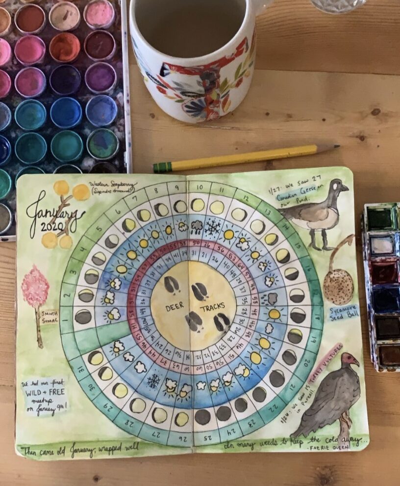 nature journaling ideas