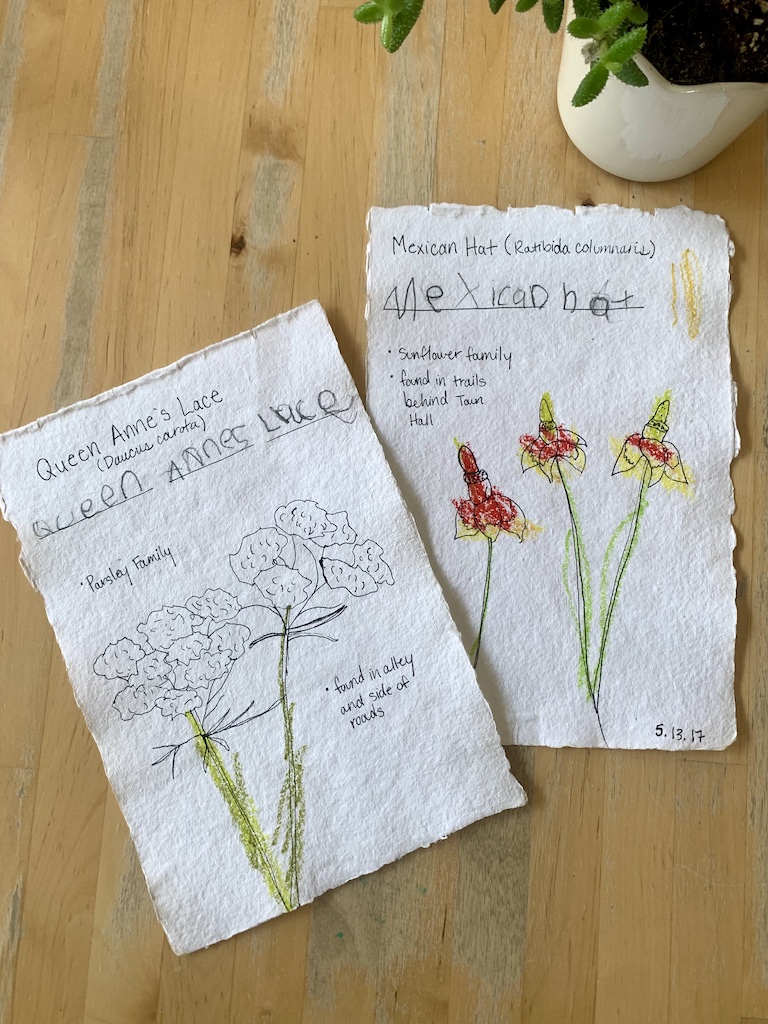 nature journaling prompts