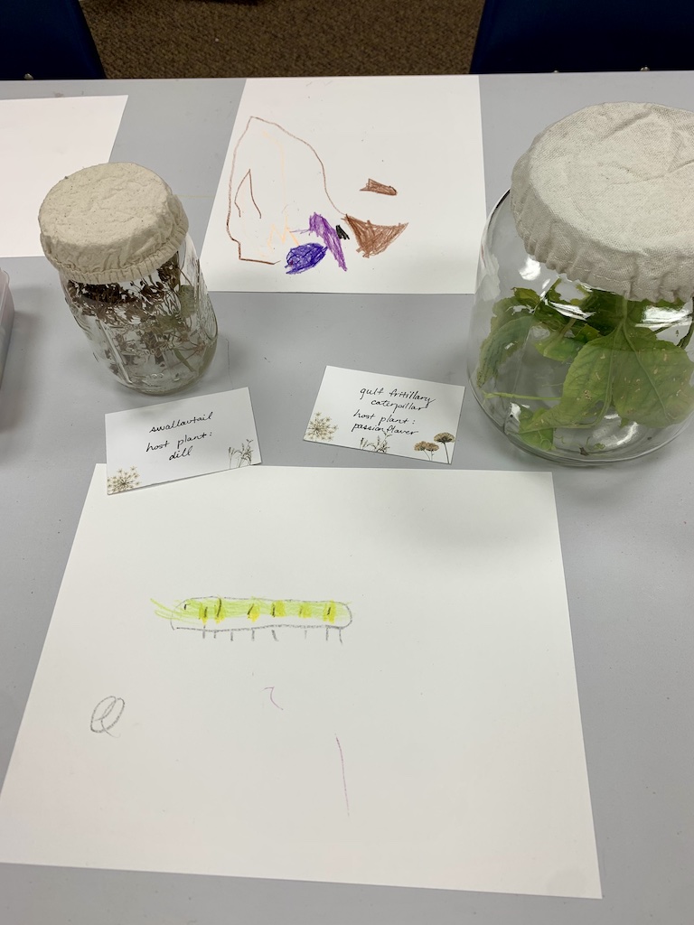 nature journaling quotes