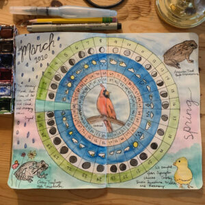 nature journaling supplies