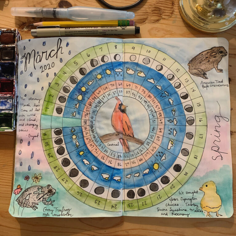 nature journaling supplies