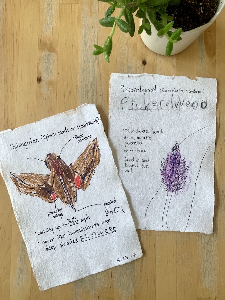 nature writing example for students