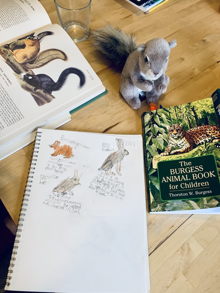 nature writing example