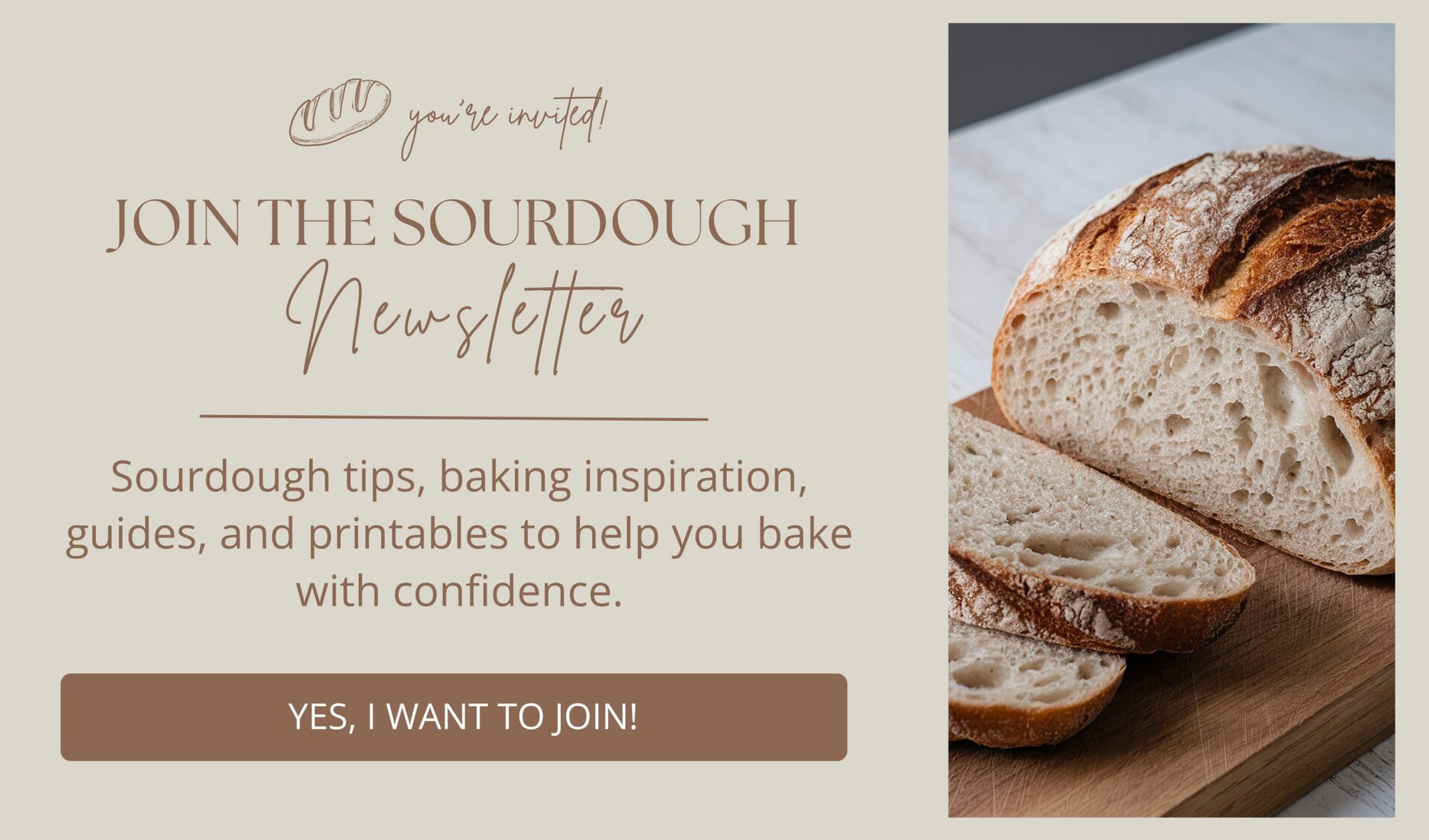 sourdough newsletter