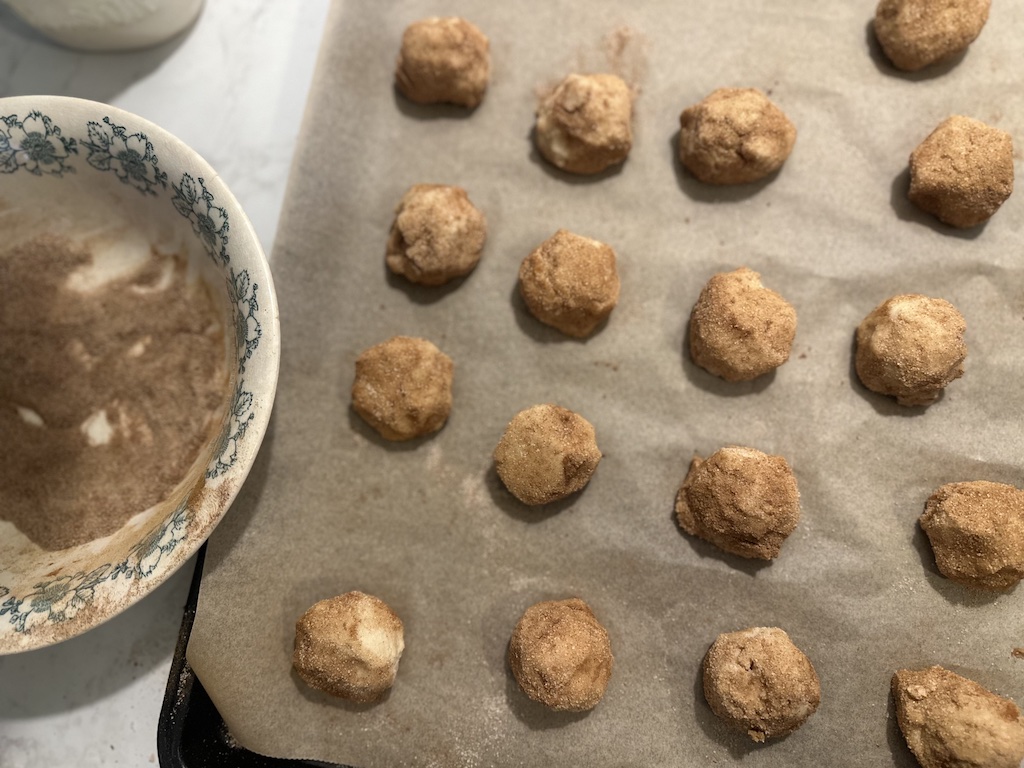 sourdough snickerdoodle cookie recipe