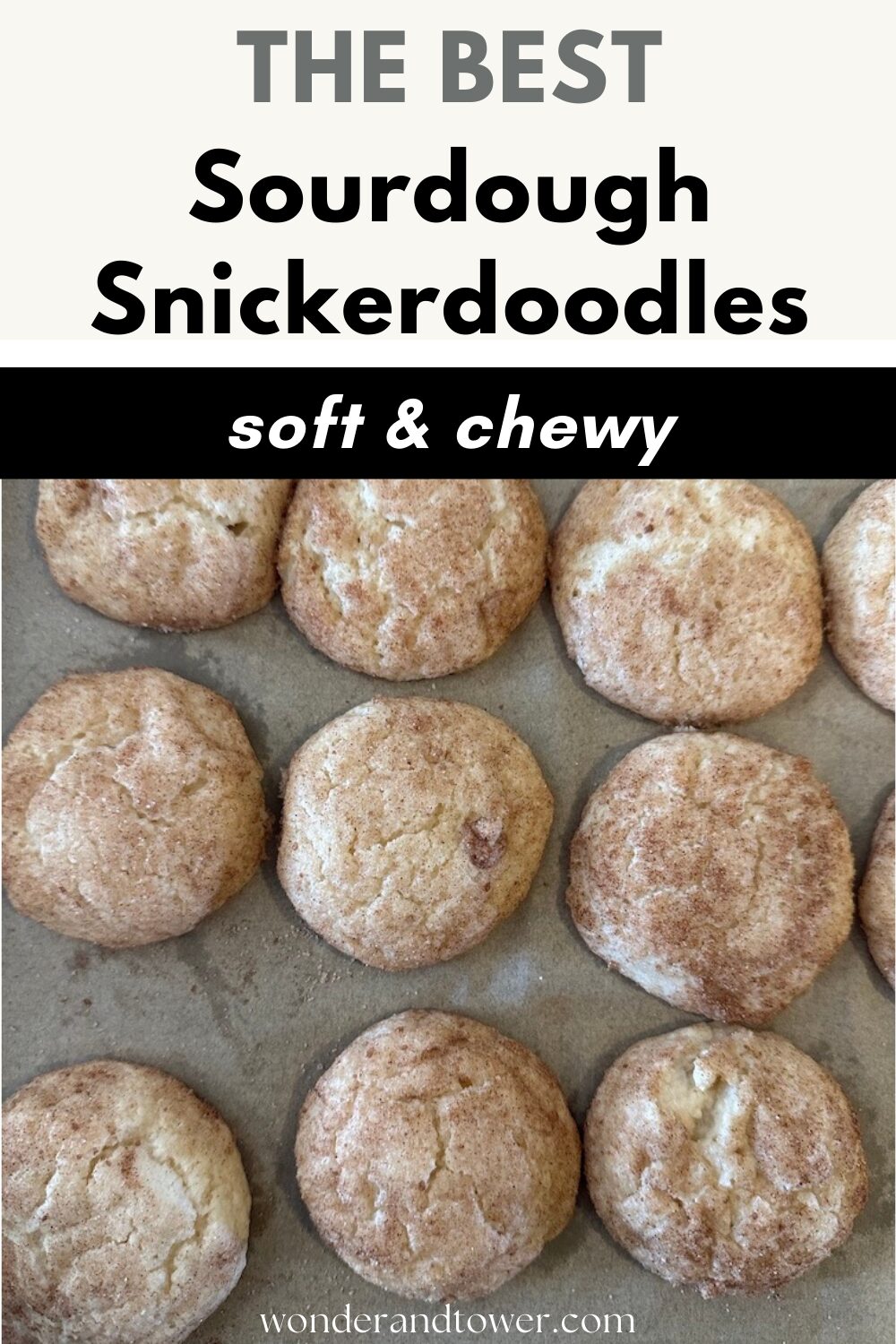 sourdough snickerdoodles