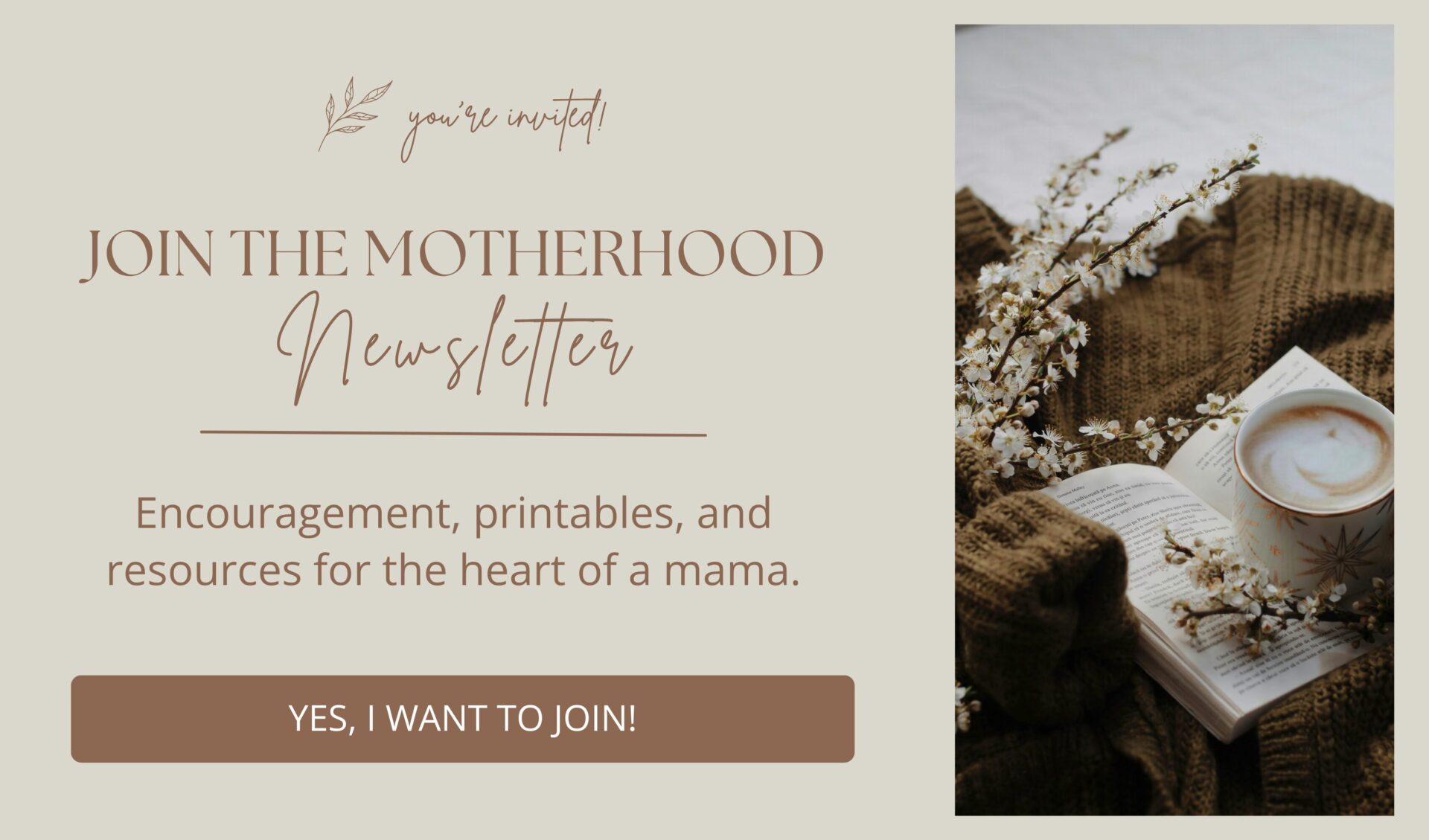 mother hood newsletter