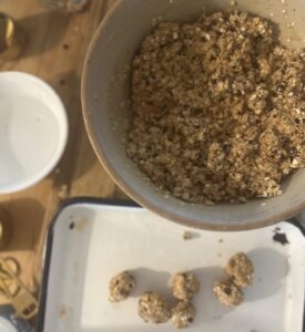 Peanut Butter Oats Protein Balls